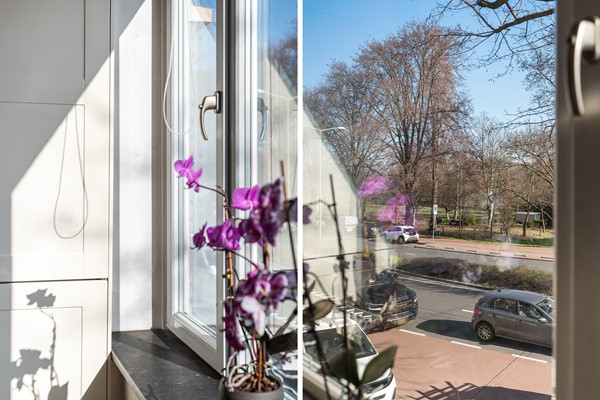 Vreeswijkstraat 417_10.jpg